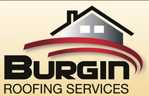 Burgin Logo